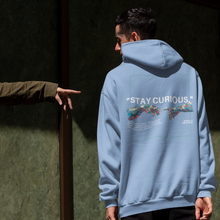 Load image into Gallery viewer, DMF ORIG: STAY CURIOUS UNISEX HOODIE