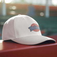 Load image into Gallery viewer, cap